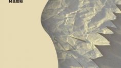 81853558_10158050841682990_8051347703126294528_n