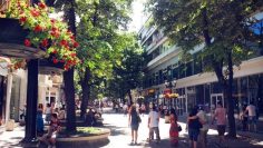 goreshto-liato-i-malko-valezhi-kakvo-619