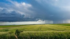 ot-7-37-gradusa-ni-ochakvat-prez-yuni-664