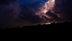 sled-poroite-dnes-dazhd-gramotevitsi-i-193