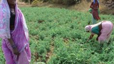 thumb_643_media.context.news_big