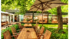 11128640_690846511037283_8818034456984251108_n