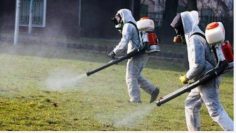 3df33b68783e494fe0cad1780d98f19f