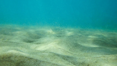 6f4732ed9a27207b32d1aac4687581fc