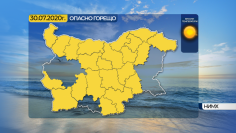 7873adf795980402adb5fcd4637d1796