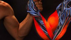 large-preview-1378831983_uchenye_sozdali_unikalnye_iskusstvennye_myshcy