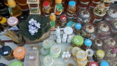 P8141209-Medium–900