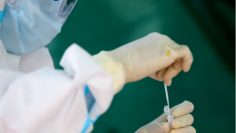 c747c3b7a1e2f2e2ffb07bd0f0f01100