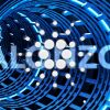 cardano-alonzo
