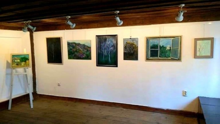 talantite-hudozhestvenata-gimnaziia-050