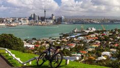 v-nova-zelandiia-ostana-samo-edin-260