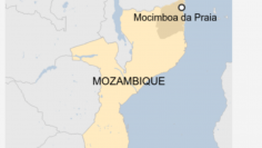 142db75278c493e4b440c44618aea828