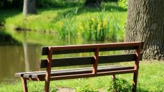 75127ccfa13206d33d1b750fcd74d459