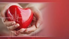 aebf3f7f724928dfb5e0e754f662b655