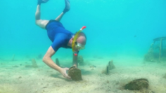 d1c5e1a93a411cf37c789f8bbc1306d6