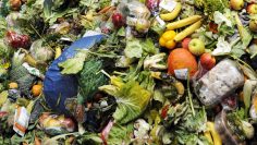 1_BFFaX6s_3cdgwUvpLLluaQ