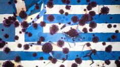 405-247-gyrciia-koronavirus