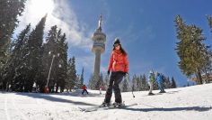 9edeeb14b92e8b47a371c1c191d03bcc