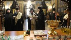 50742617603_ed952012d7_w