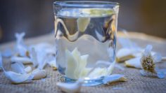 chesnova-voda-nai-moshtniiat-ubiets-975